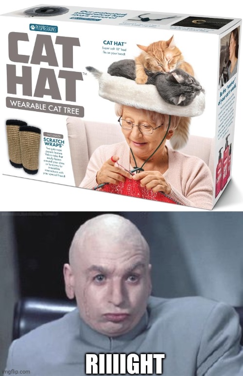 GREAT GIFT FOR GRANDMA | RIIIIGHT | image tagged in dr evil right,cats,funny cats | made w/ Imgflip meme maker