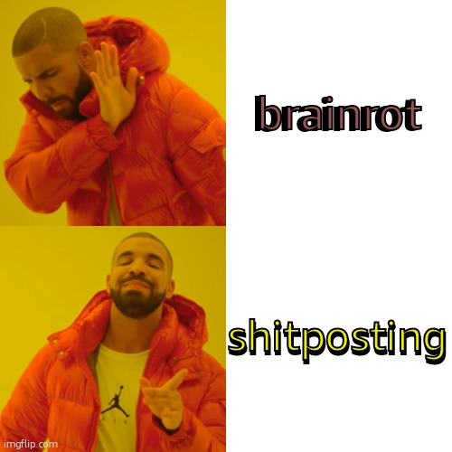 idk | brainrot brainrot shitposting shitposting | image tagged in memes,drake hotline bling | made w/ Imgflip meme maker