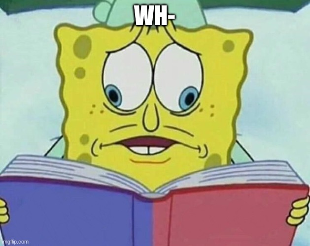 cross eyed spongebob | WH- | image tagged in cross eyed spongebob | made w/ Imgflip meme maker