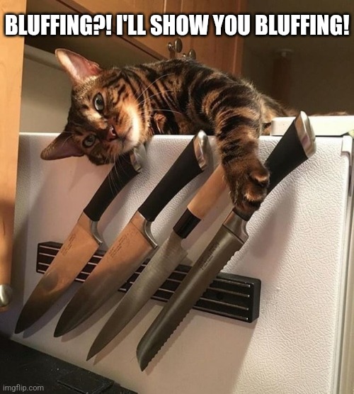 Cat with Knives | BLUFFING?! I'LL SHOW YOU BLUFFING! | image tagged in cat with knives | made w/ Imgflip meme maker