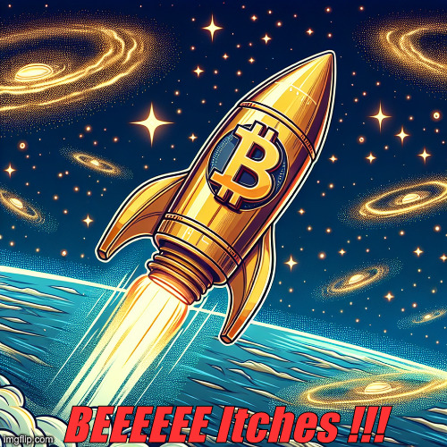 We'll Be The Boss Of This | BEEEEEE Itches !!! | image tagged in a bitcoin rocket with universe background,political meme,politics,funny memes,funny | made w/ Imgflip meme maker