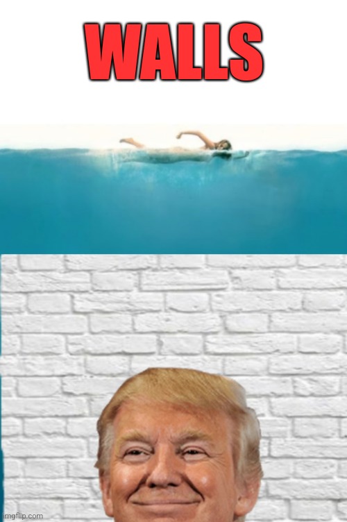 Don't go over the Border | WALLS | image tagged in walls,jaws,movie poster,president trump,border wall | made w/ Imgflip meme maker