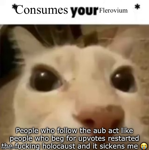 Yakko consumes your flerovium | People who follow the aub act like people who beg for upvotes restarted the fucking holocaust and it sickens me 😭 | image tagged in yakko consumes your flerovium | made w/ Imgflip meme maker