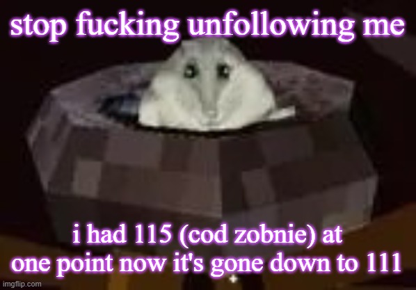 why am i tweaking over ts | stop fucking unfollowing me; i had 115 (cod zobnie) at one point now it's gone down to 111 | image tagged in flor | made w/ Imgflip meme maker