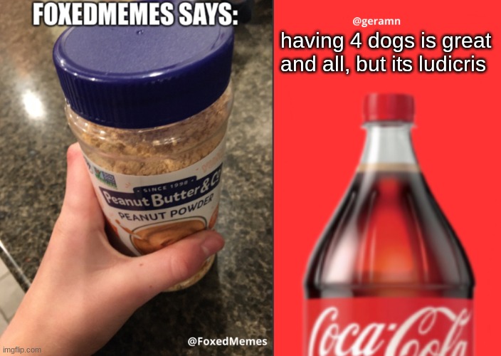 FoxedMemes and geramn template | having 4 dogs is great and all, but its ludicrous | image tagged in foxedmemes and geramn template | made w/ Imgflip meme maker