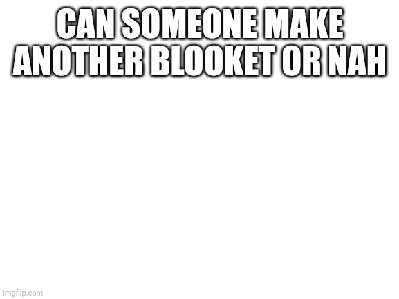 Blank White Template | CAN SOMEONE MAKE ANOTHER BLOOKET OR NAH | image tagged in blank white template | made w/ Imgflip meme maker