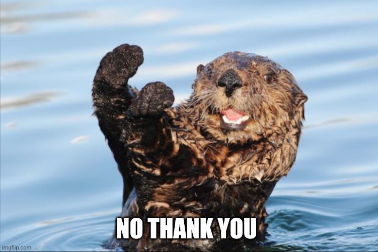 NO THANK YOU | NO THANK YOU | image tagged in no thank you | made w/ Imgflip meme maker