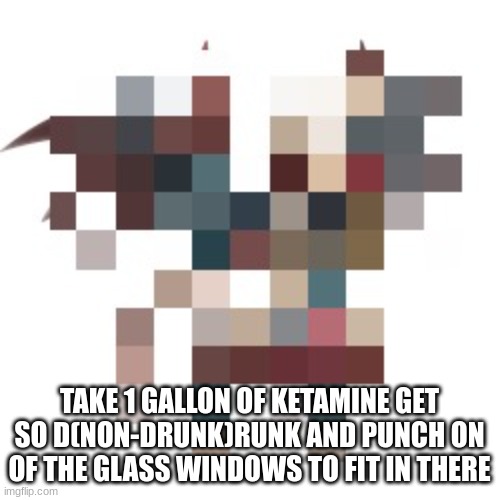 TAKE 1 GALLON OF KETAMINE GET SO D(NON-DRUNK)RUNK AND PUNCH ON OF THE GLASS WINDOWS TO FIT IN THERE | made w/ Imgflip meme maker