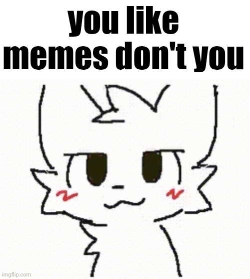 you like memes don't you | you like memes don't you | image tagged in you like kissing boys | made w/ Imgflip meme maker