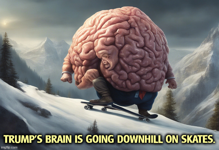 Brain not shown actual size. | TRUMP'S BRAIN IS GOING DOWNHILL ON SKATES. | image tagged in trump,cognition,brain,downhill,skates | made w/ Imgflip meme maker