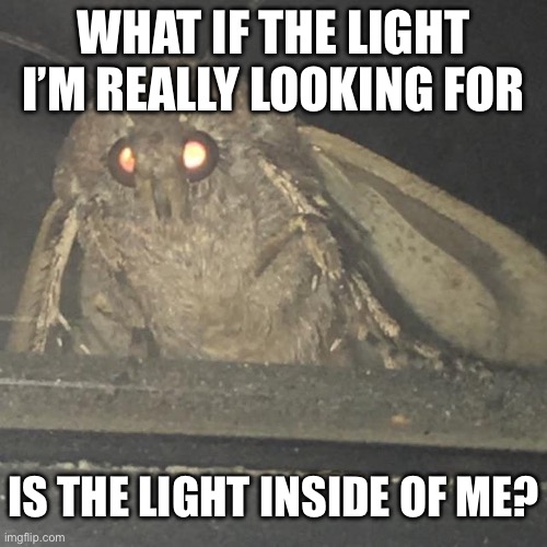 Moth lamp | WHAT IF THE LIGHT I’M REALLY LOOKING FOR; IS THE LIGHT INSIDE OF ME? | image tagged in moth lamp | made w/ Imgflip meme maker