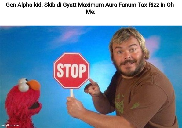 Jack Black Elmo Stop | Gen Alpha kid: Skibidi Gyatt Maximum Aura Fanum Tax Rizz in Oh-
Me: | image tagged in jack black elmo stop,relatable,gen alpha | made w/ Imgflip meme maker