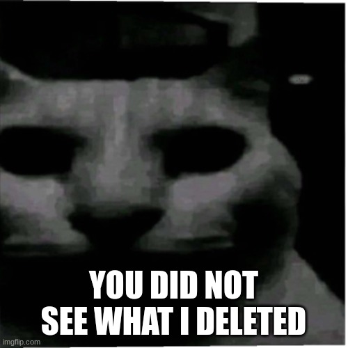 Uncanny cat | YOU DID NOT SEE WHAT I DELETED | image tagged in uncanny cat | made w/ Imgflip meme maker