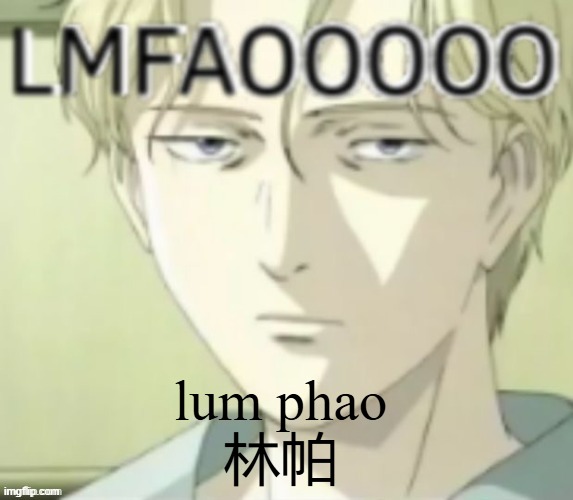 lmfao | lum phao
林帕 | image tagged in lmfaoooo,china | made w/ Imgflip meme maker