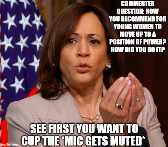 Harris | COMMENTER QUESTION: HOW YOU RECOMMEND FOR YOUNG WOMEN TO MOVE UP TO A POSITION OF POWER? HOW DID YOU DO IT? SEE FIRST YOU WANT TO CUP THE *MIC GETS MUTED* | image tagged in harris | made w/ Imgflip meme maker