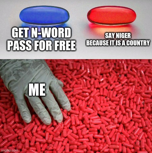 Pick one | GET N-WORD PASS FOR FREE; SAY NIGER BECAUSE IT IS A COUNTRY; ME | image tagged in blue or red pill | made w/ Imgflip meme maker