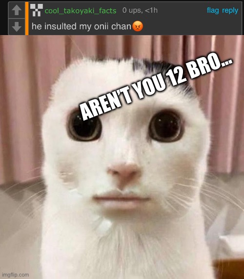 AREN’T YOU 12 BRO… | image tagged in my honest reaction | made w/ Imgflip meme maker