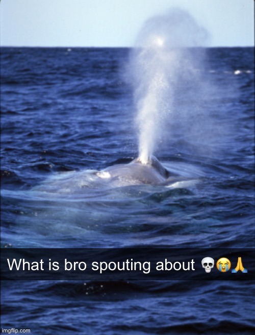 What is bro spouting about | image tagged in what is bro spouting about | made w/ Imgflip meme maker