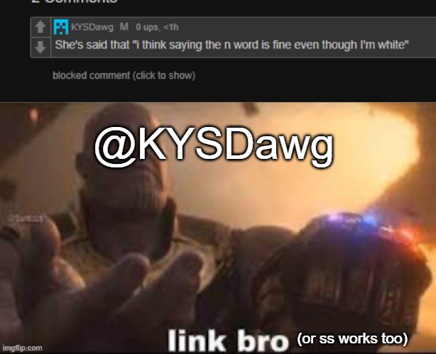 @KYSDawg; (or ss works too) | image tagged in link bro | made w/ Imgflip meme maker