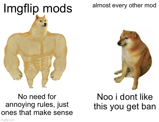 Discord mods are not the only ones (cough cough erlc cough) | Imgflip mods; almost every other mod; No need for annoying rules, just ones that make sense; Noo i dont like this you get ban | image tagged in memes,buff doge vs cheems | made w/ Imgflip meme maker