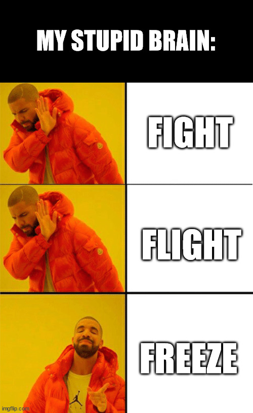 Drake three panel | FIGHT FLIGHT FREEZE MY STUPID BRAIN: | image tagged in drake three panel | made w/ Imgflip meme maker