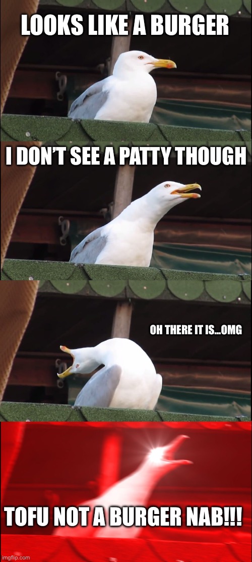 Inhaling Seagull | LOOKS LIKE A BURGER; I DON’T SEE A PATTY THOUGH; OH THERE IT IS…OMG; TOFU NOT A BURGER NAB!!! | image tagged in memes,inhaling seagull | made w/ Imgflip meme maker