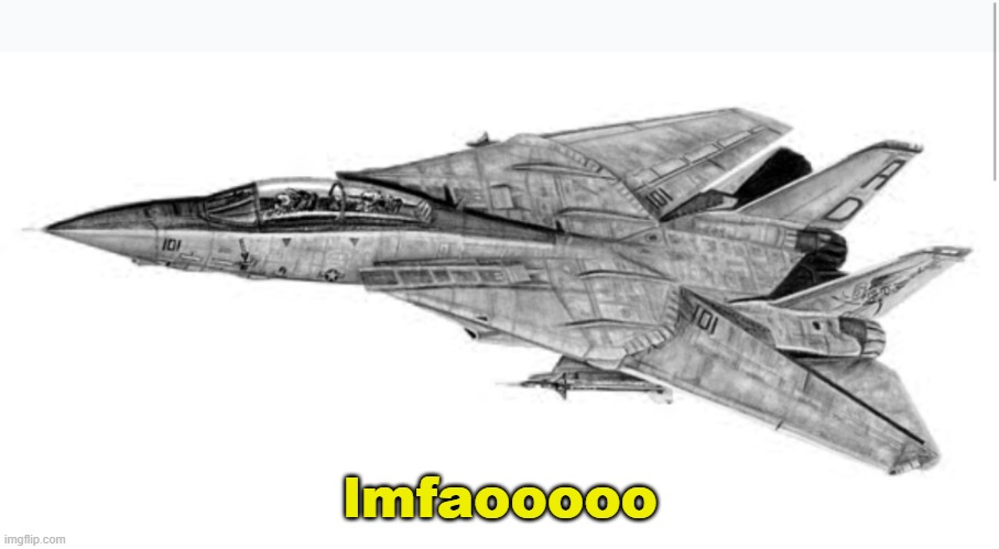 F 14 Tomcat | lmfaooooo | image tagged in f 14 tomcat | made w/ Imgflip meme maker