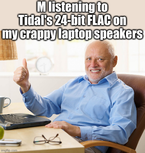 Tidal music on speakers | M listening to Tidal's 24-bit FLAC on my crappy laptop speakers | image tagged in hide the pain harold | made w/ Imgflip meme maker