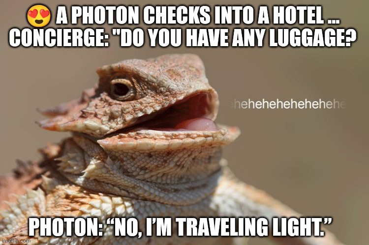 Science Humor | 😍 A PHOTON CHECKS INTO A HOTEL ... 
CONCIERGE: "DO YOU HAVE ANY LUGGAGE? PHOTON: “NO, I’M TRAVELING LIGHT.” | image tagged in laughing lizard | made w/ Imgflip meme maker