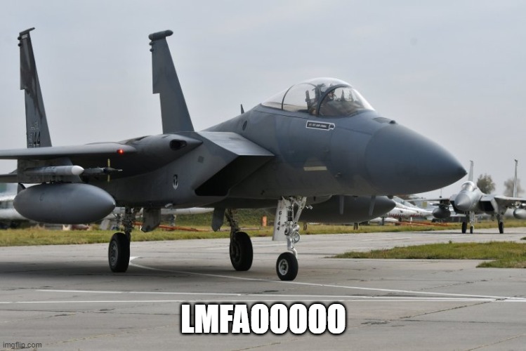 F-15 Eagle | LMFAOOOOO | image tagged in f-15 eagle | made w/ Imgflip meme maker