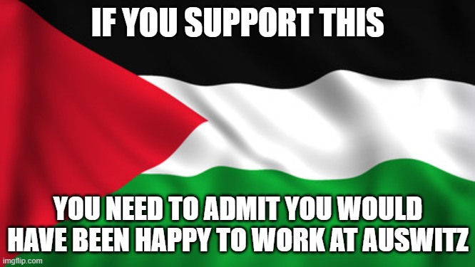 Palestine Flag | IF YOU SUPPORT THIS; YOU NEED TO ADMIT YOU WOULD HAVE BEEN HAPPY TO WORK AT AUSWITZ | image tagged in palestine flag | made w/ Imgflip meme maker