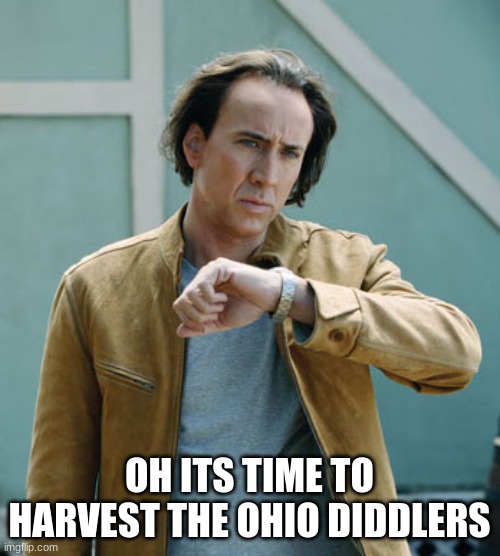 nicolas cage clock | OH ITS TIME TO HARVEST THE OHIO DIDDLERS | image tagged in nicolas cage clock | made w/ Imgflip meme maker