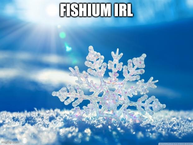 @Fishium | FISHIUM IRL | image tagged in snowflake | made w/ Imgflip meme maker