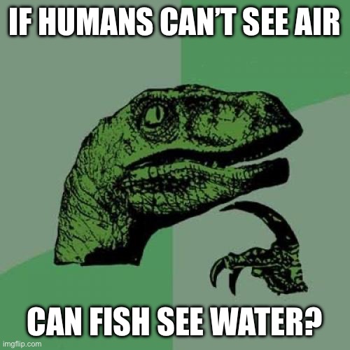 Philosoraptor | IF HUMANS CAN’T SEE AIR; CAN FISH SEE WATER? | image tagged in memes,philosoraptor | made w/ Imgflip meme maker