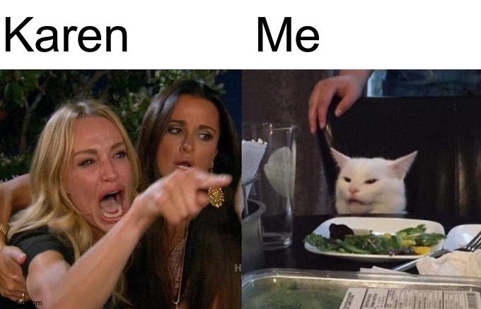 Woman Yelling At Cat | Karen; Me | image tagged in memes,woman yelling at cat | made w/ Imgflip meme maker