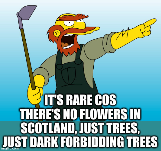 Groundskeeper Willie | IT'S RARE COS THERE'S NO FLOWERS IN SCOTLAND, JUST TREES, JUST DARK FORBIDDING TREES | image tagged in groundskeeper willie | made w/ Imgflip meme maker