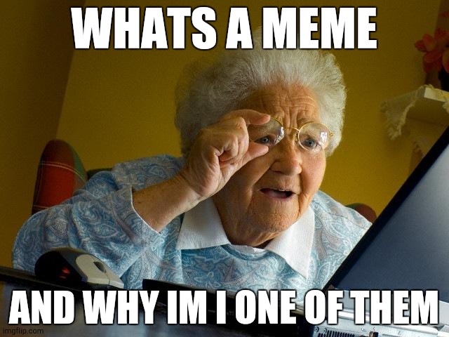 When grandma find herself in the memes | WHATS A MEME; AND WHY IM I ONE OF THEM | image tagged in memes,grandma finds the internet | made w/ Imgflip meme maker