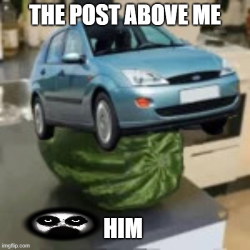 FocusMelon | THE POST ABOVE ME; HIM | image tagged in focusmelon | made w/ Imgflip meme maker