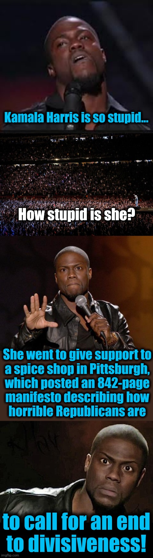 Kamala going the distance to fan the flames of hatred | Kamala Harris is so stupid... How stupid is she? She went to give support to
a spice shop in Pittsburgh,
which posted an 842-page
manifesto describing how
horrible Republicans are; to call for an end
to divisiveness! | image tagged in kevin hart,huge concert audience,memes,kamala harris,stupid,democrats | made w/ Imgflip meme maker