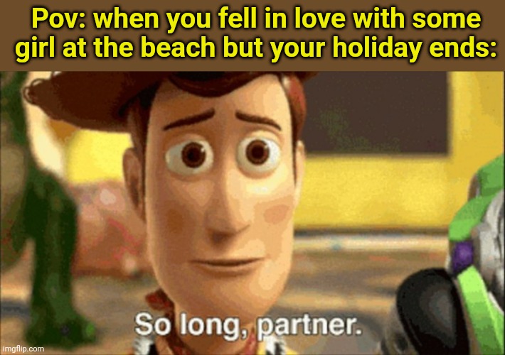 so long partner | Pov: when you fell in love with some girl at the beach but your holiday ends: | image tagged in so long partner | made w/ Imgflip meme maker