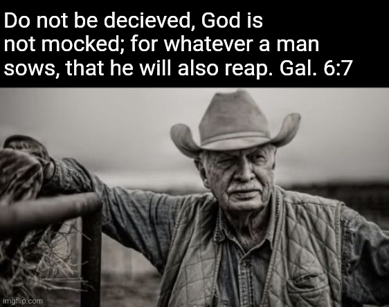 So God Made A Farmer Meme | Do not be decieved, God is not mocked; for whatever a man sows, that he will also reap. Gal. 6:7 | image tagged in memes,so god made a farmer | made w/ Imgflip meme maker