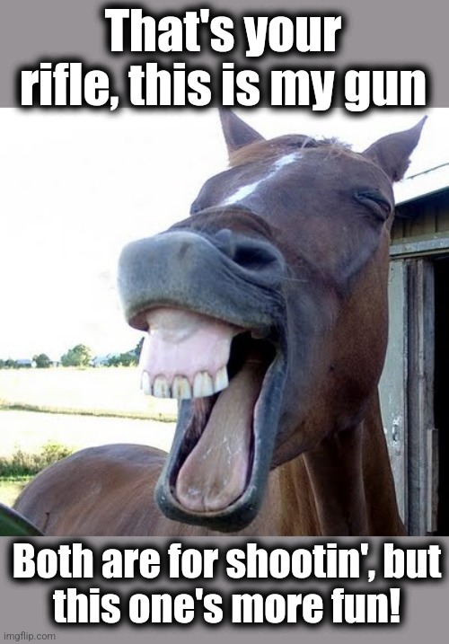 horse laugh | That's your rifle, this is my gun Both are for shootin', but
this one's more fun! | image tagged in horse laugh | made w/ Imgflip meme maker