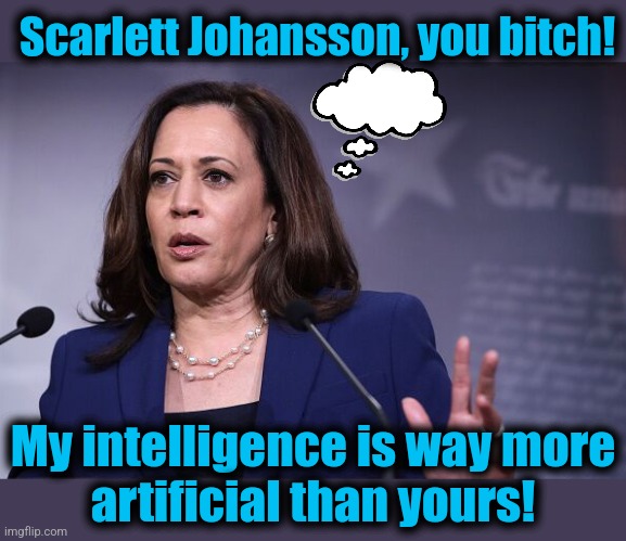 Scarlett Johansson, you bitch! My intelligence is way more
artificial than yours! | made w/ Imgflip meme maker