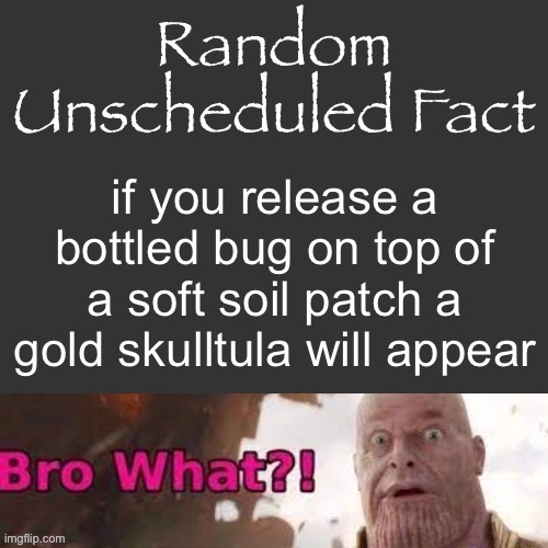 Random Unscheduled Fact | if you release a bottled bug on top of a soft soil patch a gold skulltula will appear | image tagged in random unscheduled fact | made w/ Imgflip meme maker