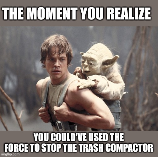 yoda and luke padawan | THE MOMENT YOU REALIZE YOU COULD'VE USED THE FORCE TO STOP THE TRASH COMPACTOR | image tagged in yoda and luke padawan | made w/ Imgflip meme maker