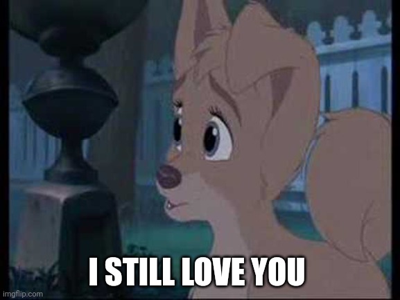 I Still Love You ❤ | I STILL LOVE YOU | image tagged in lady and the tramp 2 angel | made w/ Imgflip meme maker