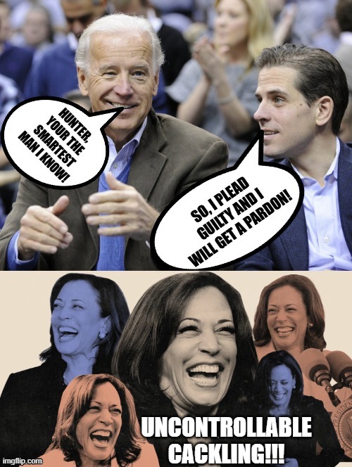 Uncontrollable Cackling | UNCONTROLLABLE CACKLING!!! | image tagged in kamala harris,too funny,laughing villains | made w/ Imgflip meme maker