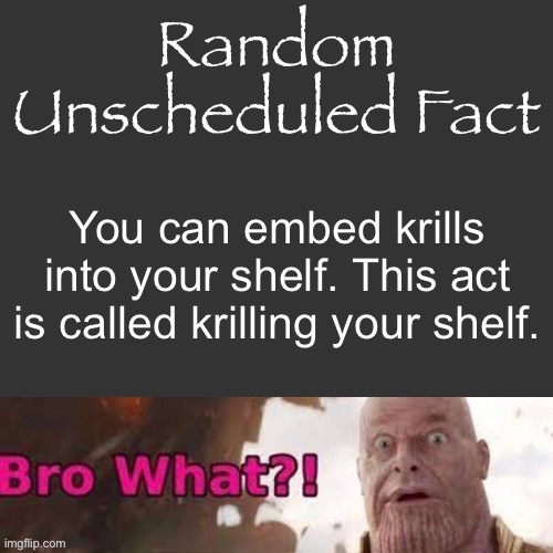 Random Unscheduled Fact | You can embed krills into your shelf. This act is called krilling your shelf. | image tagged in random unscheduled fact | made w/ Imgflip meme maker