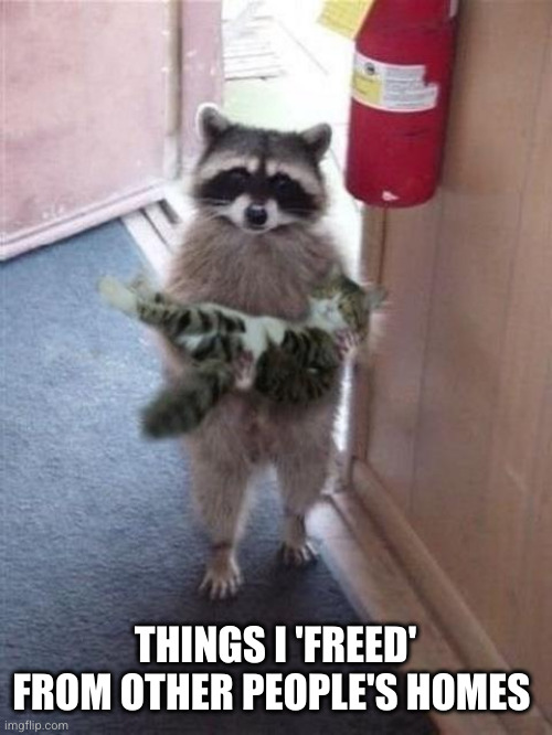 Cat Burglar Raccoon | THINGS I 'FREED' FROM OTHER PEOPLE'S HOMES | image tagged in cat burglar raccoon | made w/ Imgflip meme maker