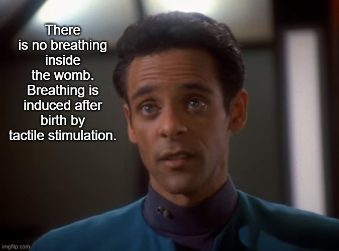 Dr. Bashir | There is no breathing inside the womb. Breathing is induced after birth by tactile stimulation. | image tagged in dr bashir | made w/ Imgflip meme maker